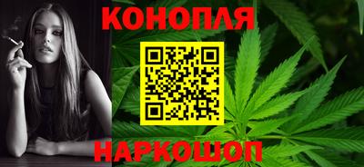 шишки Коммунар